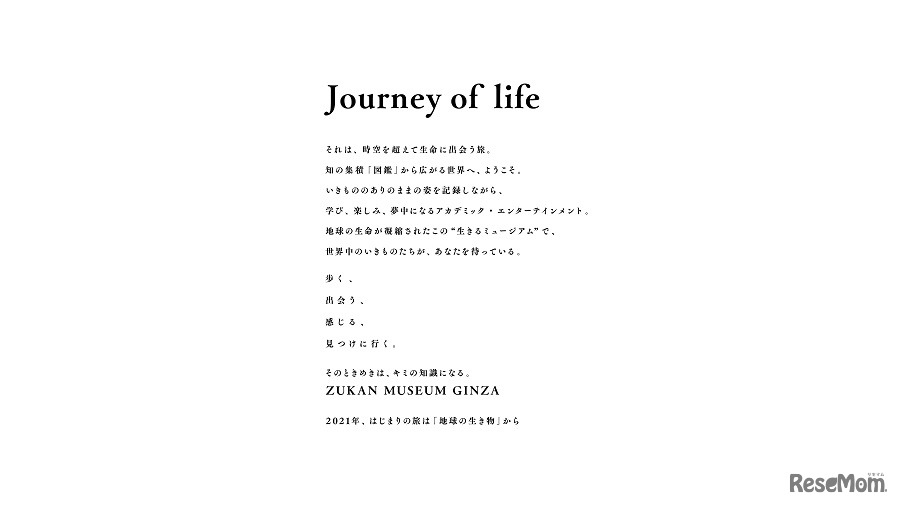 ZUKAN MUSEUM GINZA ステートメント