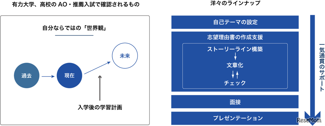 洋々の特徴について