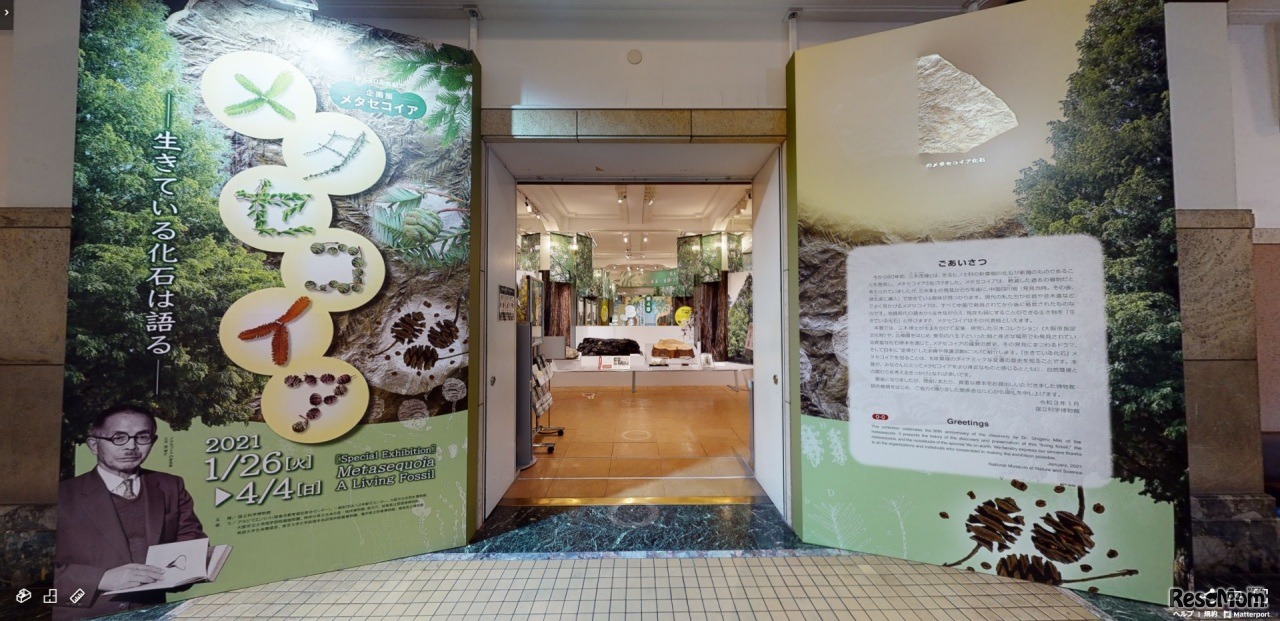 企画展「メタセコイア－生きている化石は語る」3Dビュー＋VR映像　イメージ