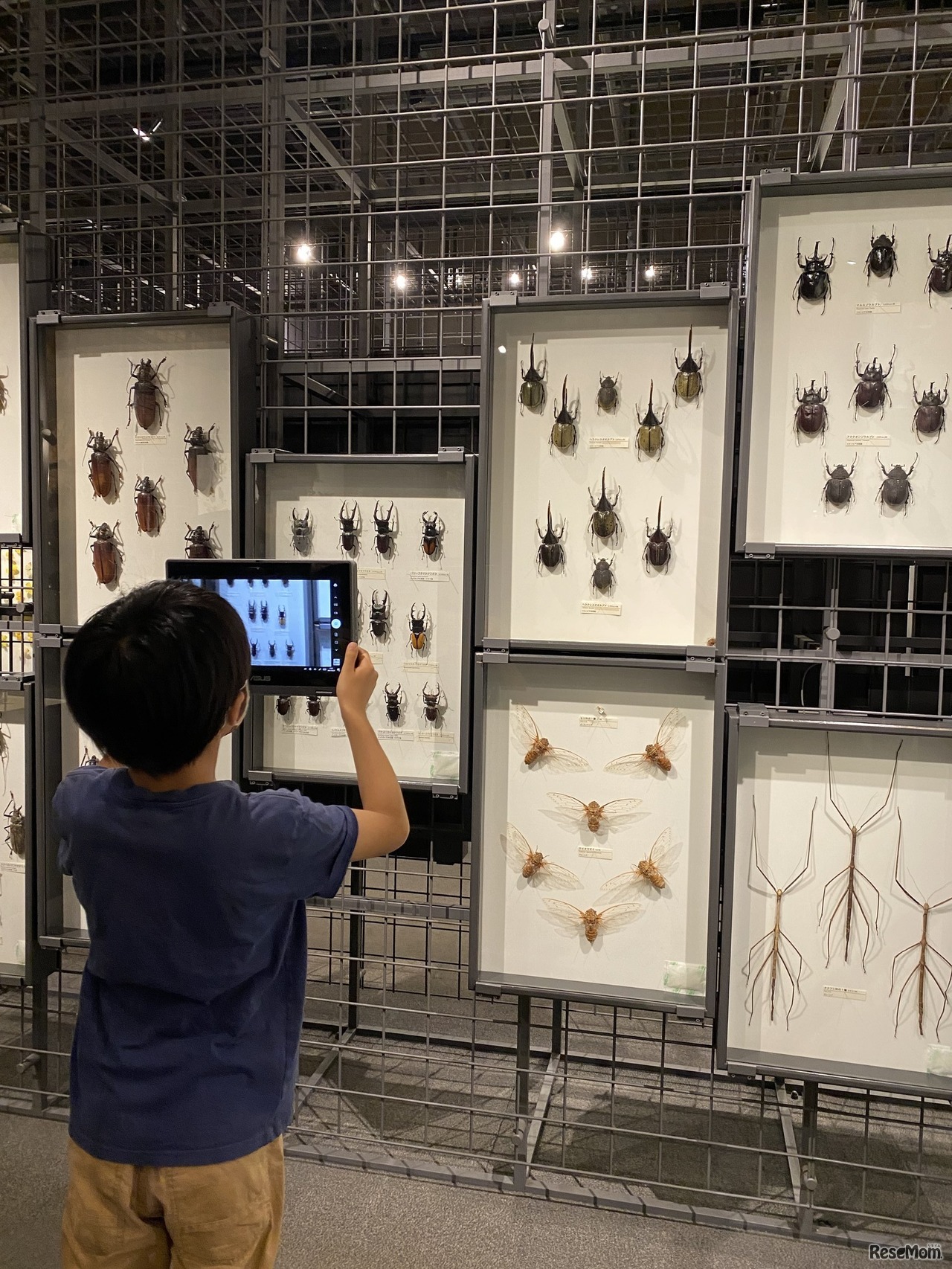 オートフォーカス機能で子供でも撮影しやすい