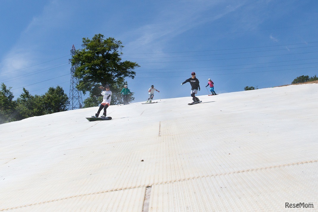 夏のスノーマットゲレンデ滑走（イメージ）