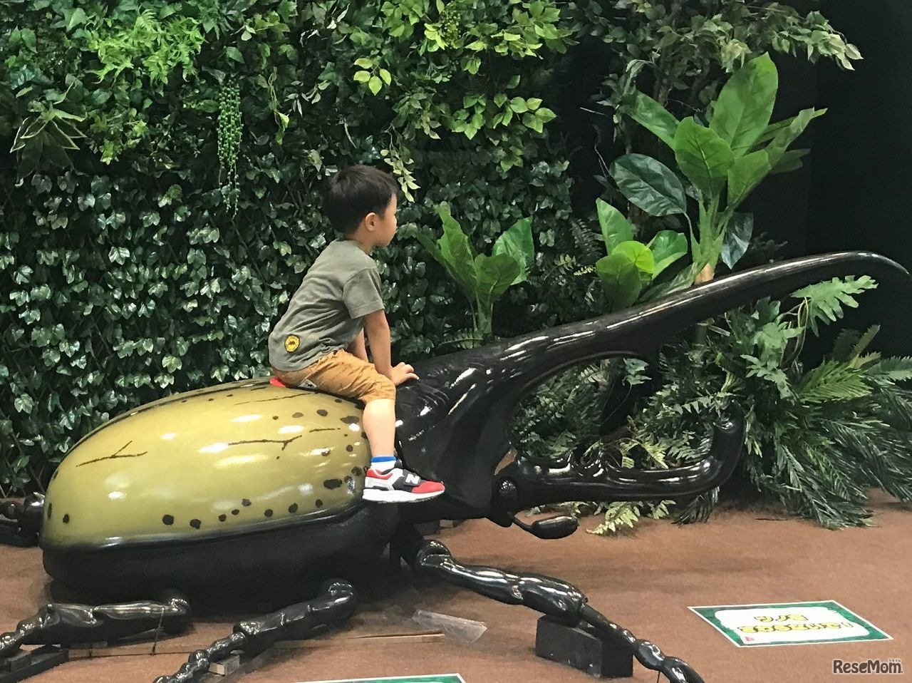 巨大ヘラクレスオオカブト