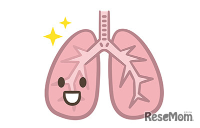 生き物の呼吸！ペットボトルで肺のモデルを作ろう！