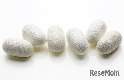 ふしぎな動き！～まゆ玉みたいなコロコロゲーム～