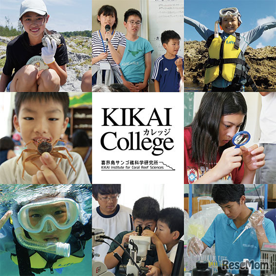 KIKAI collegeジュニアドクター制度