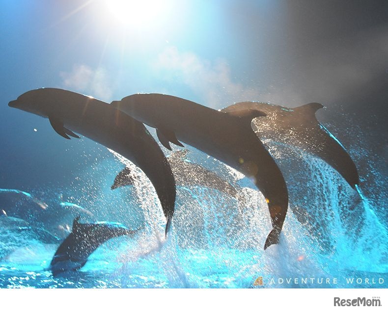 ナイトマリンライブ「LOVES」