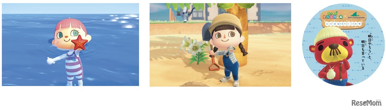 箱メガネやシュノーケルを使った海の生きものとのふれあい企画を実施　(c) Nintendo