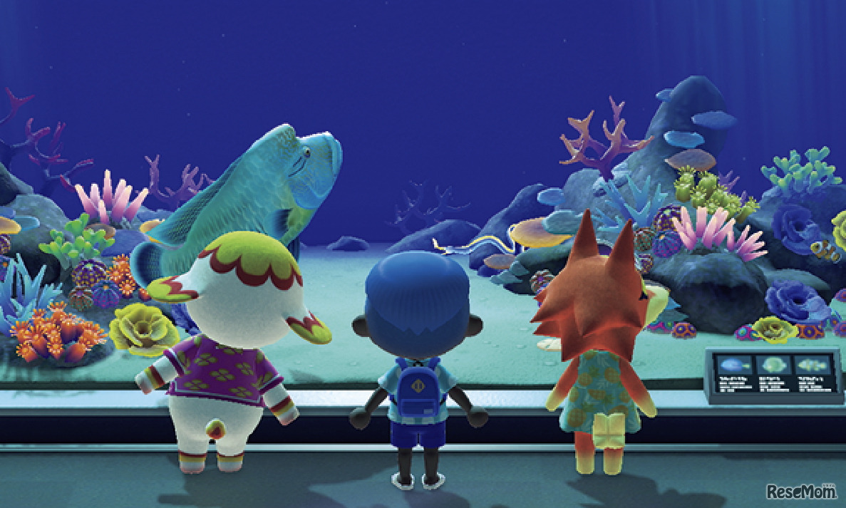 「あつまれ どうぶつの森」に登場する100種以上の海の生きものを観察　(c) Nintendo