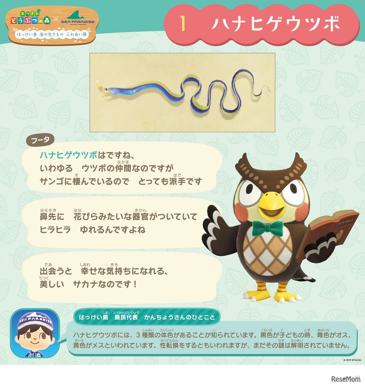 ゲーム中でのフータの解説だけでなく、水族館スタッフによる生きものたちの豆知識も楽しめる　(c) 2020 Nintendo