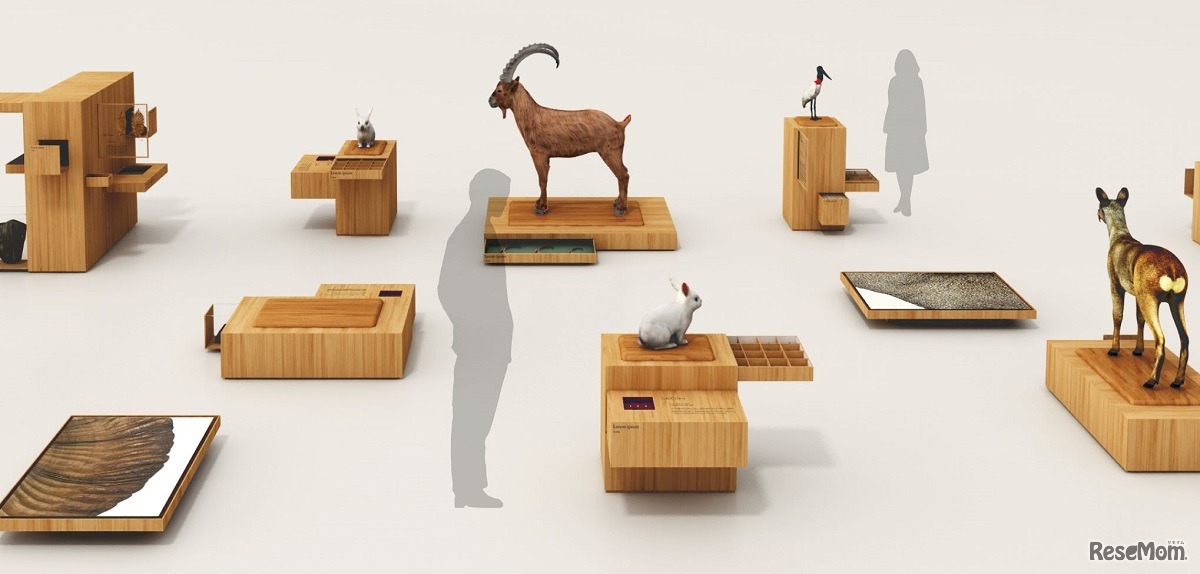 巡回展キットのイメージ