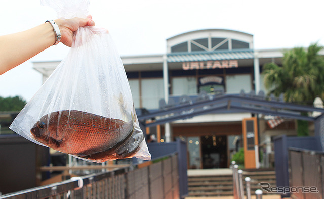 横浜・八景島シーパラダイス 自然の海の水族館『うみファーム』が7月10日リニューアルオープン