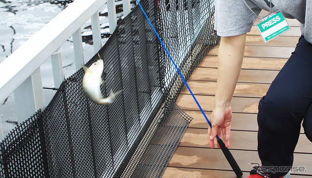 横浜・八景島シーパラダイス 自然の海の水族館『うみファーム』が7月10日リニューアルオープン