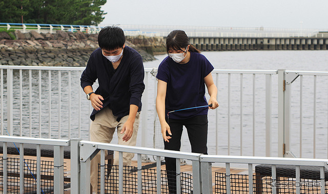 横浜・八景島シーパラダイス 自然の海の水族館『うみファーム』が7月10日リニューアルオープン