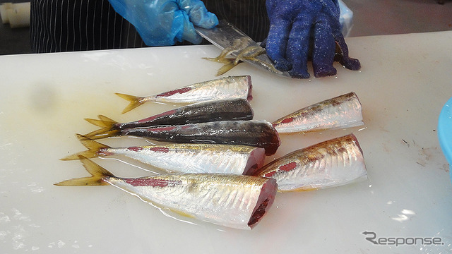 横浜・八景島シーパラダイス 自然の海の水族館『うみファーム』が7月10日リニューアルオープン