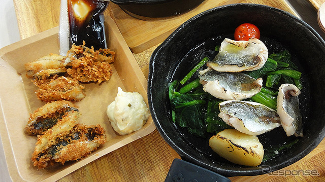 横浜・八景島シーパラダイス 自然の海の水族館『うみファーム』が7月10日リニューアルオープン