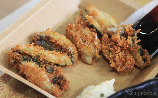 横浜・八景島シーパラダイス 自然の海の水族館『うみファーム』が7月10日リニューアルオープン