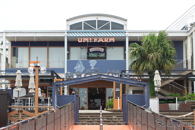 横浜・八景島シーパラダイス 自然の海の水族館『うみファーム』が7月10日リニューアルオープン