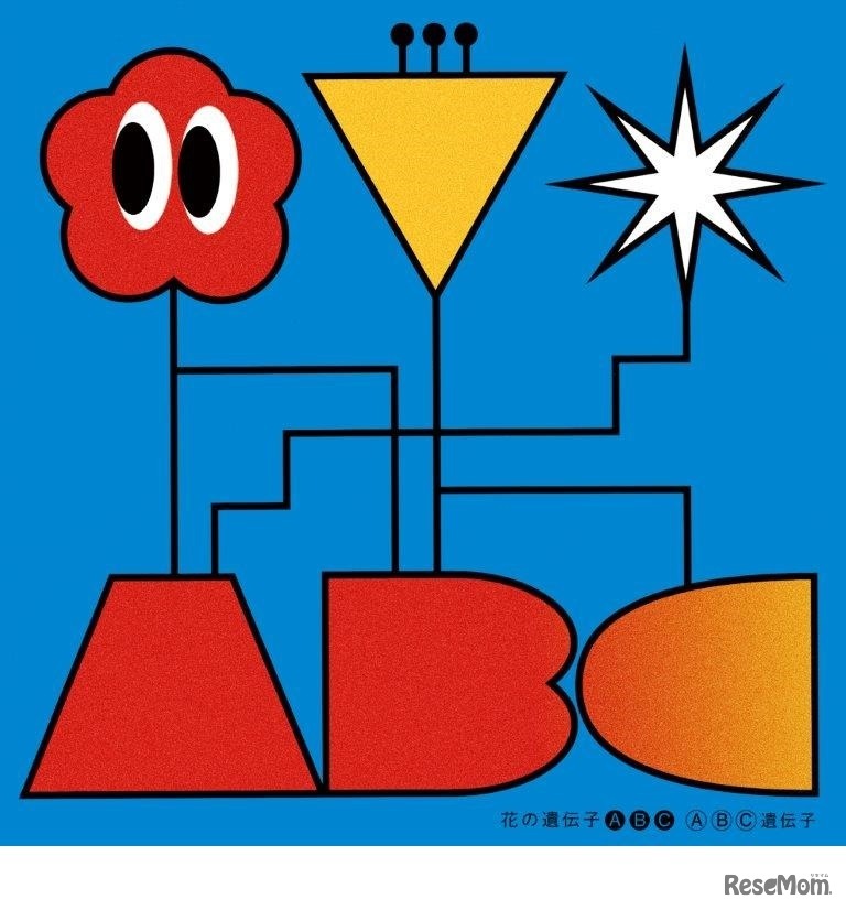花の形を決める遺伝子の歌「花の遺伝子ABC」を配信開始