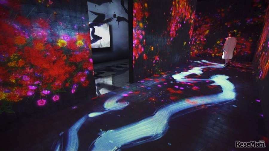 反転無分別、境界を越えて描かれる - One Stroke, Cold Light