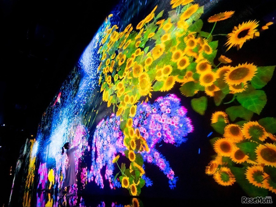 花と共に生きる動物たち II