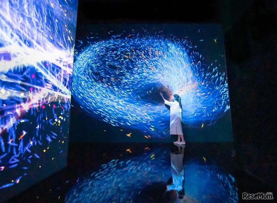 The Way of the Sea, Flying Beyond Borders