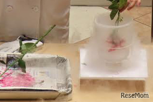 かわさき宙と緑の科学館