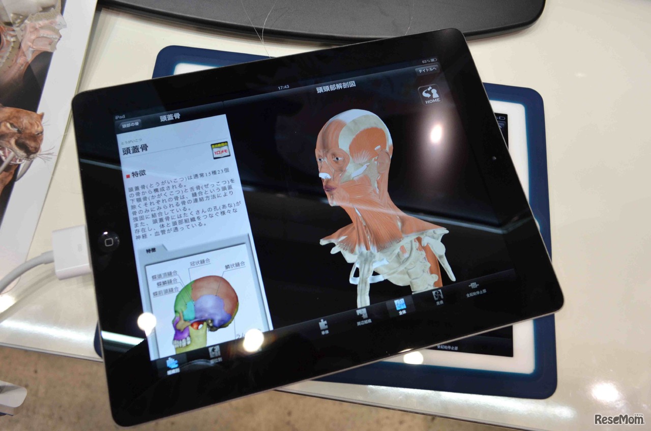 iPad用、頭頸部筋骨格系解剖アプリ