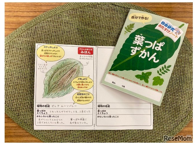 自由研究お助けノート