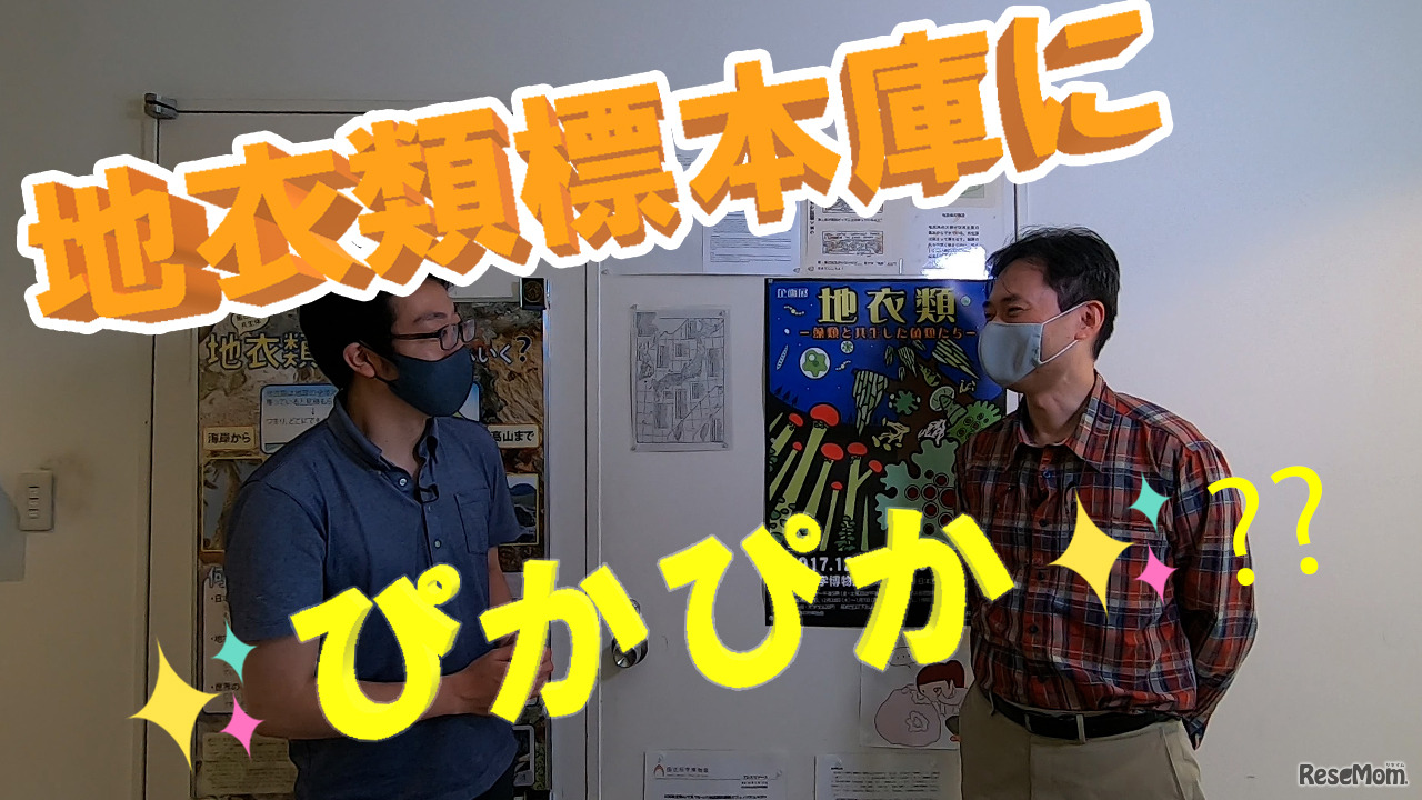 「収蔵庫の貴重な標本」を紹介する特別動画　「地衣類標本庫で、ぴかぴかのお宝を発見！」