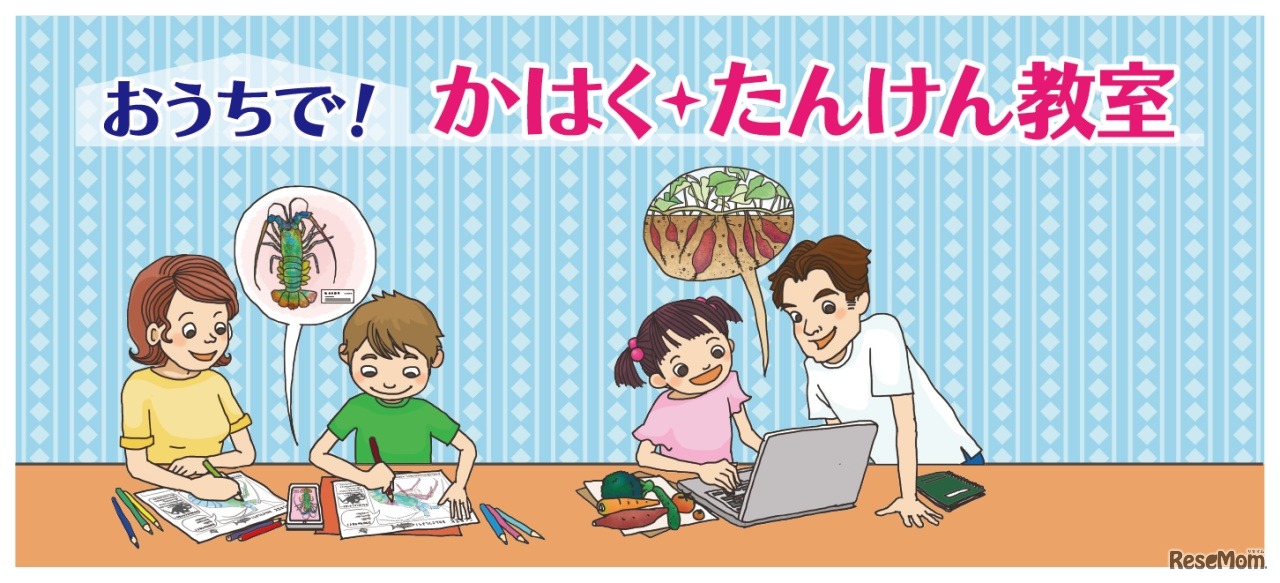 おうちで！かはく・たんけん教室