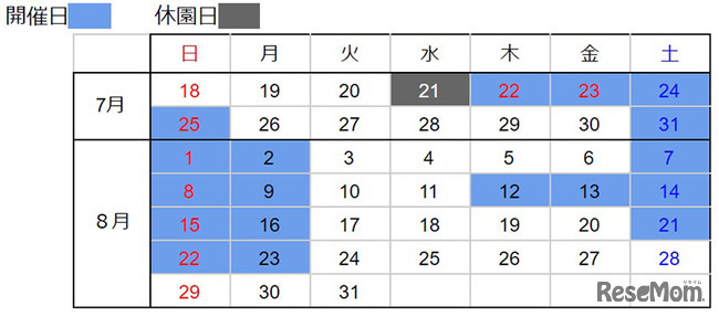 実施スケジュール