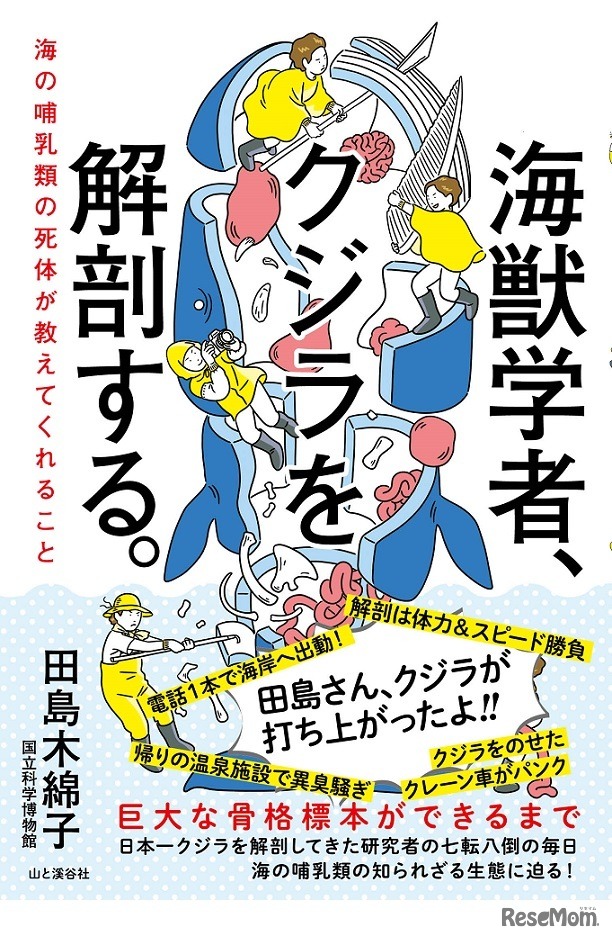海獣学者、クジラを解剖する。