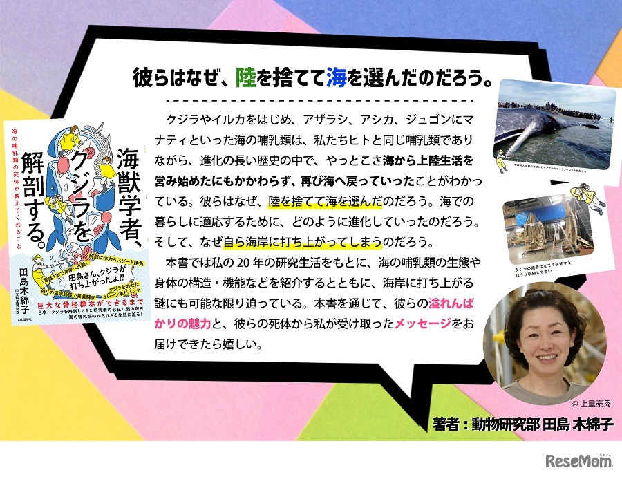「海獣学者、クジラを解剖する。」著者からのメッセージ　(c) 上重泰秀