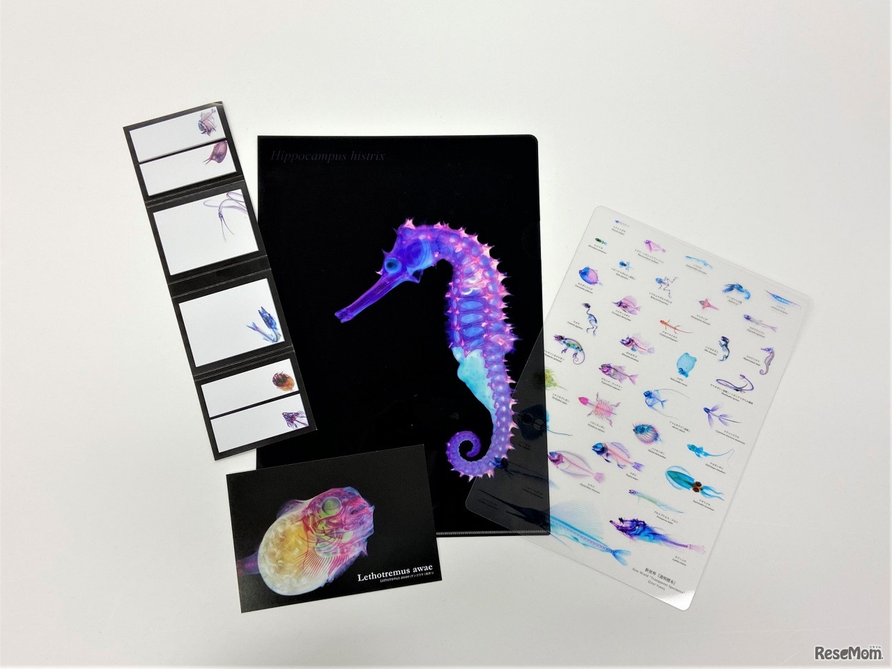 特別展限定グッズ