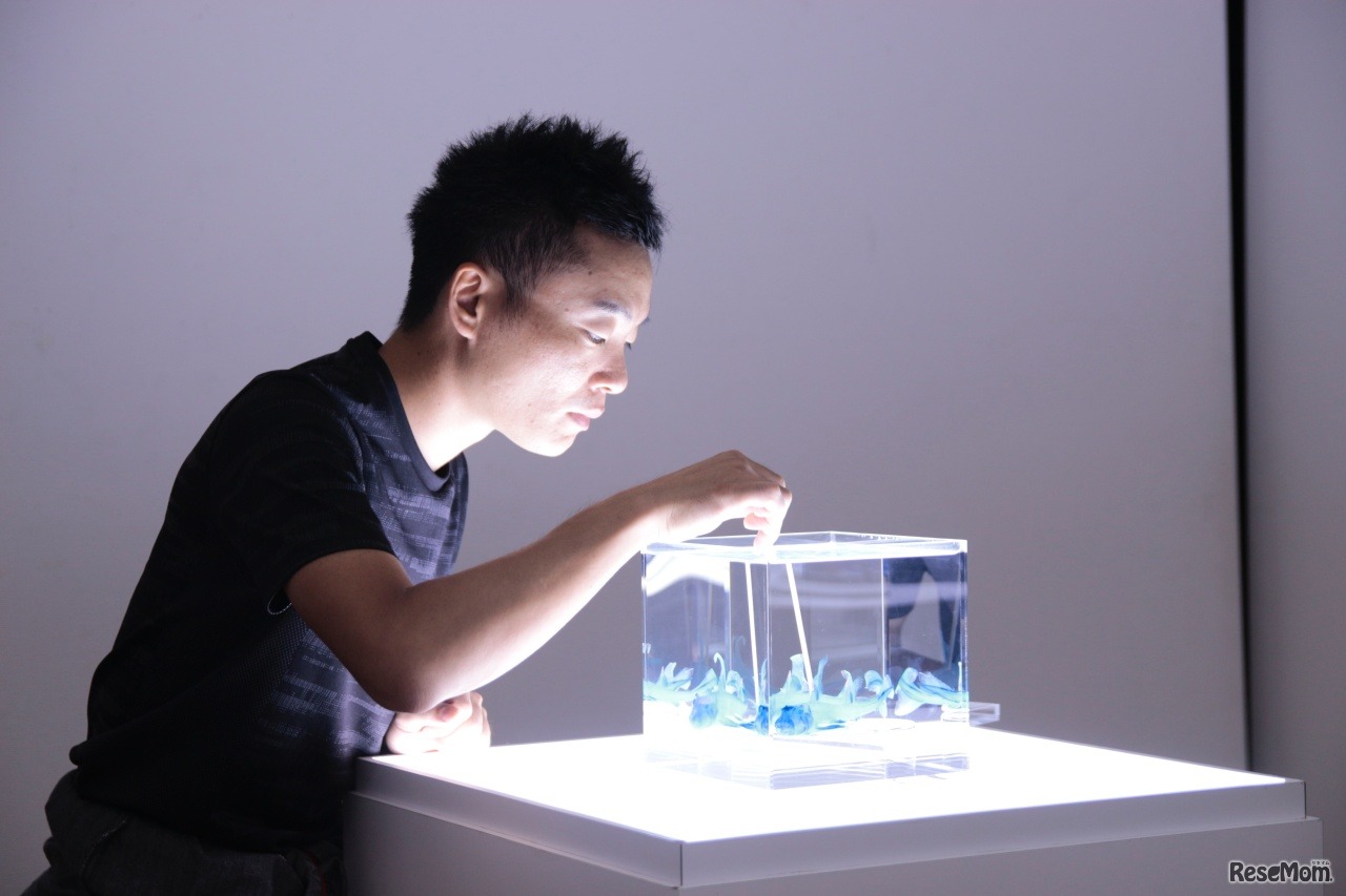 冨田伊織氏 (c) 新世界『透明標本』冨田伊織