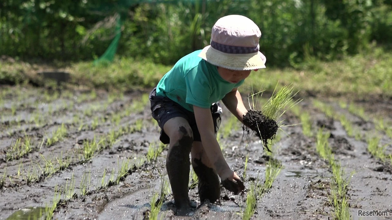 映画「屋根の上に吹く風は」　(c) SAKAE ASADA