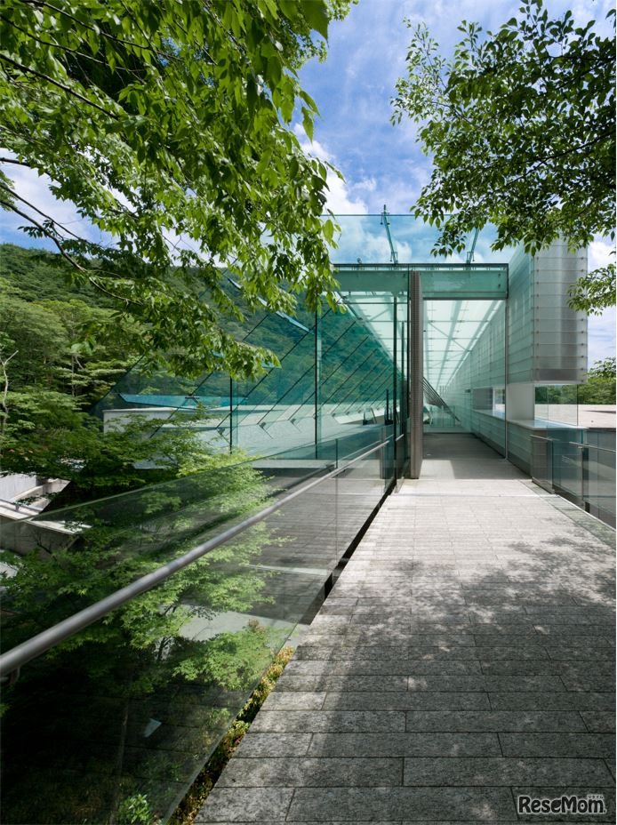 森の中にたたずむガラス張りのポーラ美術館