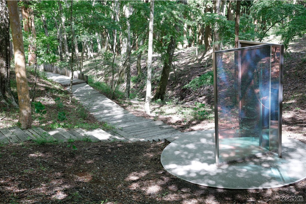 森の中に展示されているアート作品