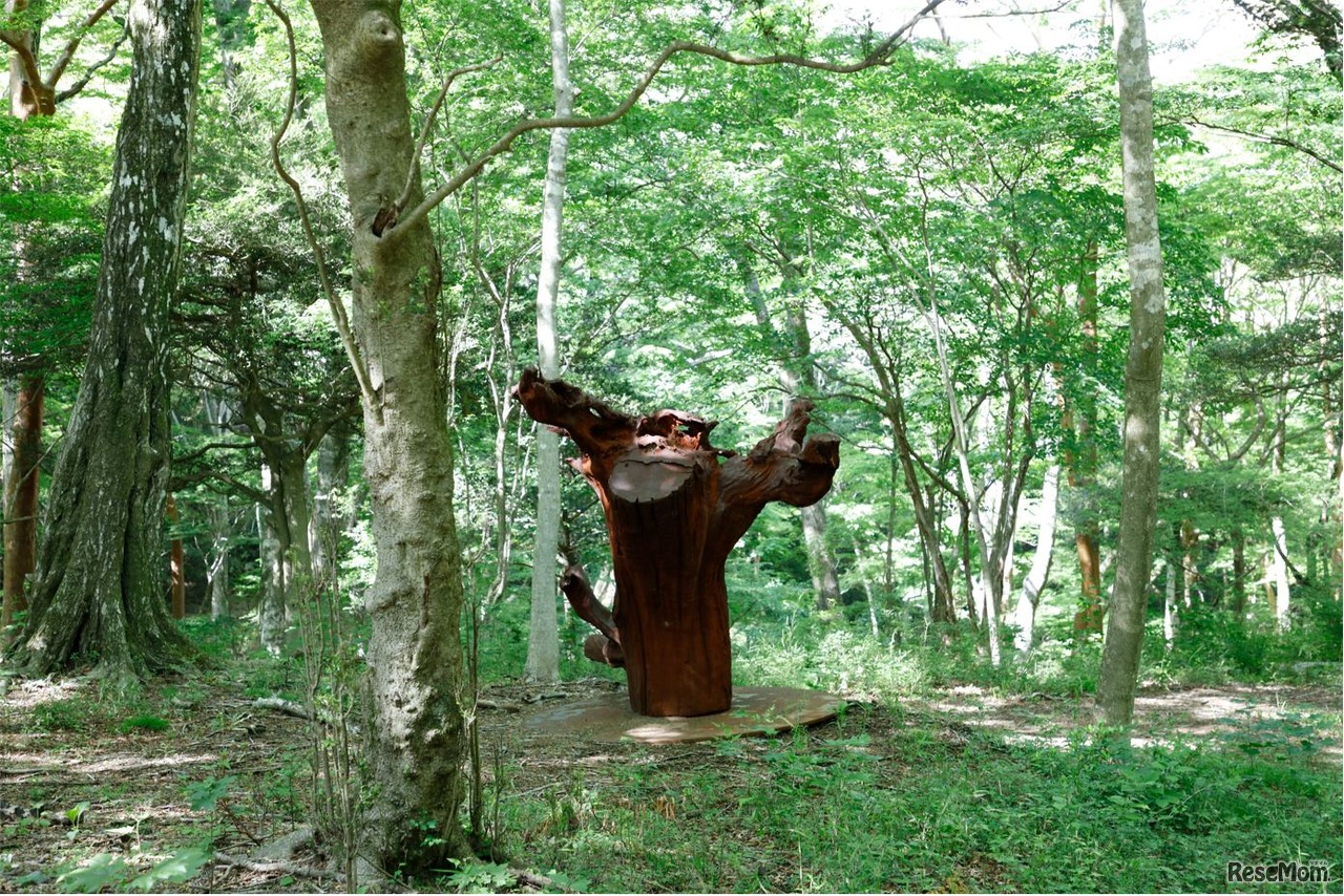 森の中に展示されているアート作品