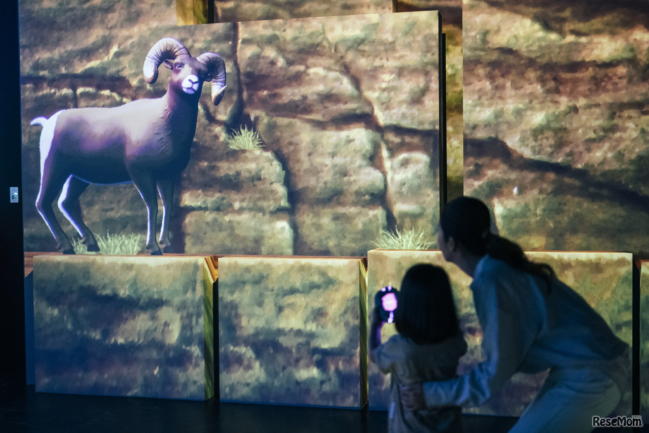 「ZUKAN MUSEUM GINZA を体験して『オリジナル生き物ずかん』を作ろう！」