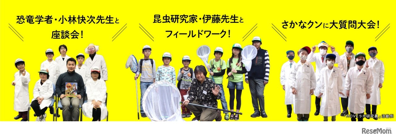 メンバーの活動内容