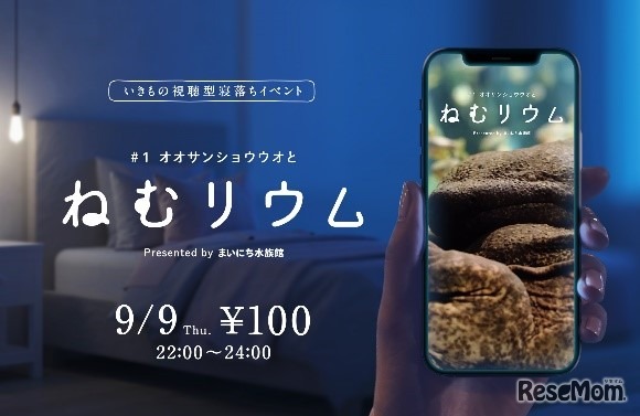 オオサンショウウオとねむリウム