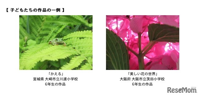 子どもたちの作品の一例