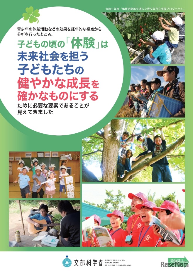 2020年度 青少年の体験活動に関する調査研究 報告（概要）