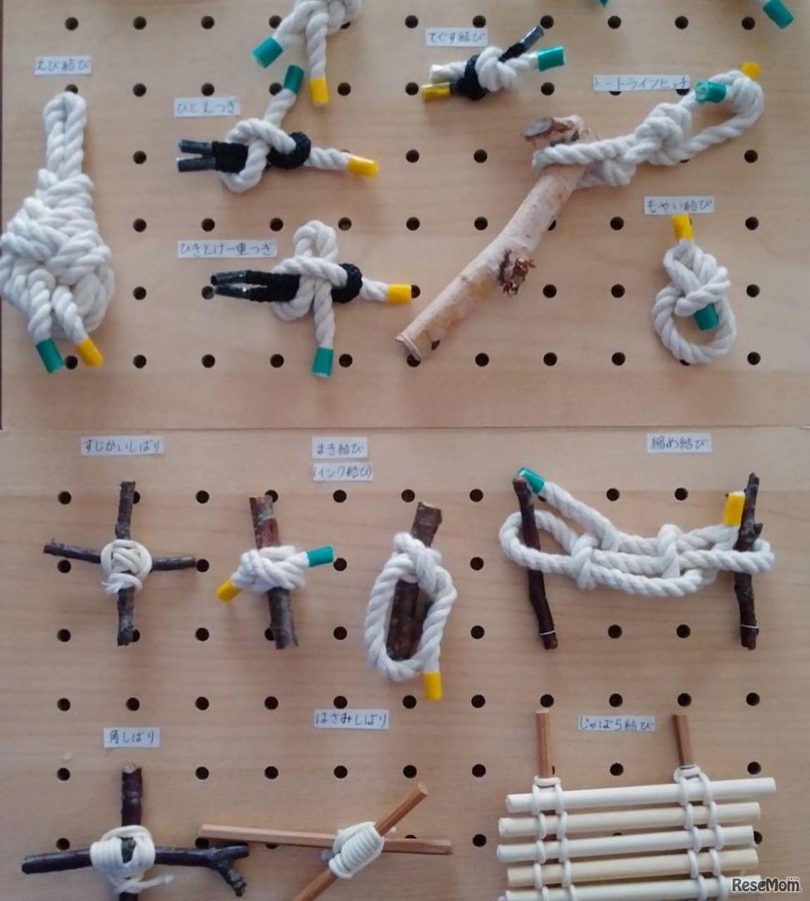 オンライン配信　ガールスカウト大阪府連盟「親子で楽しくむすんでみよう！楽しくロープ結び！」（11月13日・14日開催）