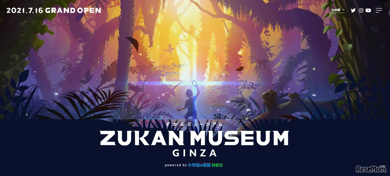 ZUKAN MUSEUM GINZA powered by 小学館の図鑑NEO