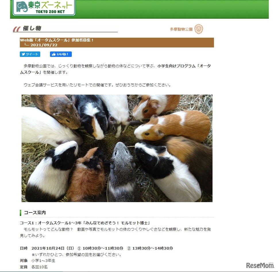 東京都多摩動物公園「オータムスクール」