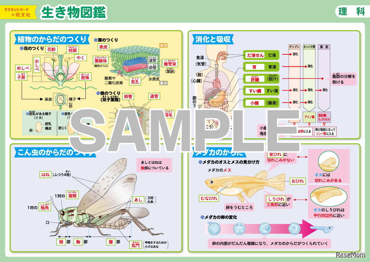 おふろポスター中学受験シリーズ