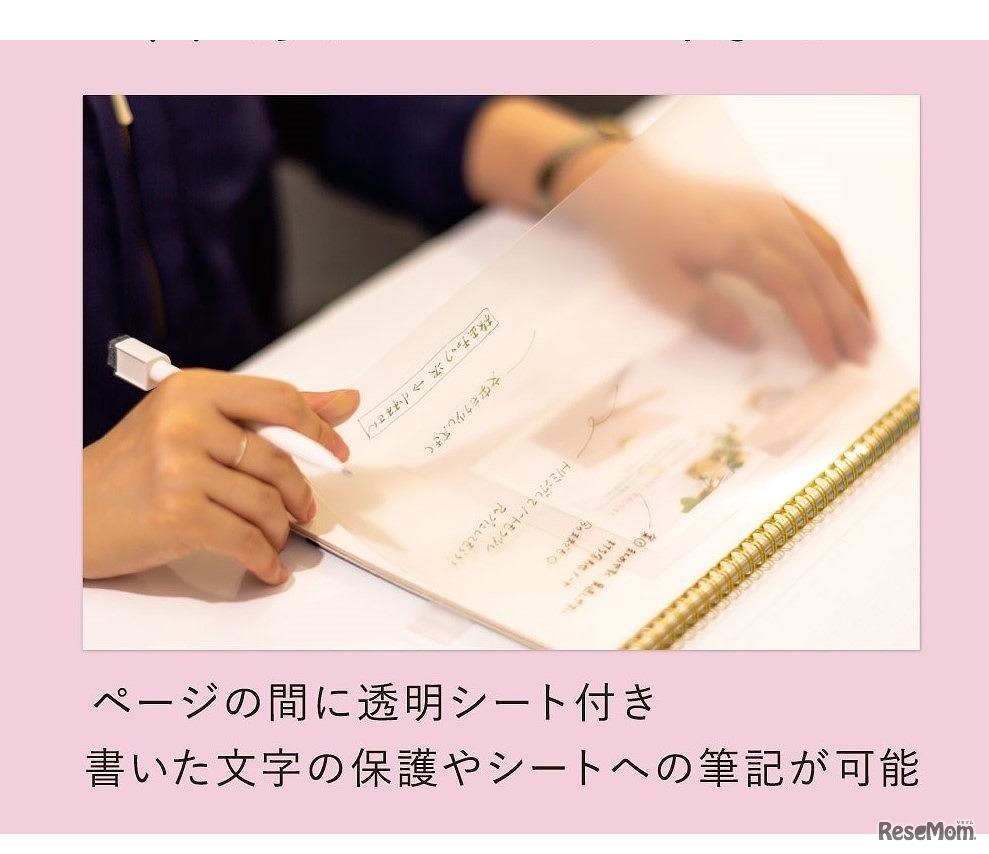 透明シート付き