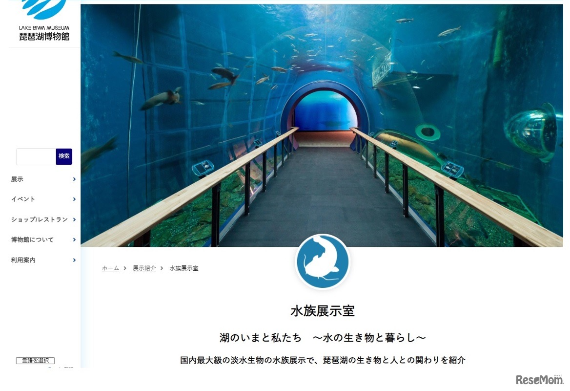 琵琶湖博物館水族展示トンネル水槽